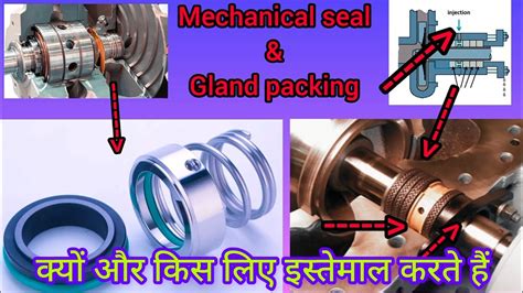 screw conveyor packing gland|Specifying Seals and Bearings for Mech.